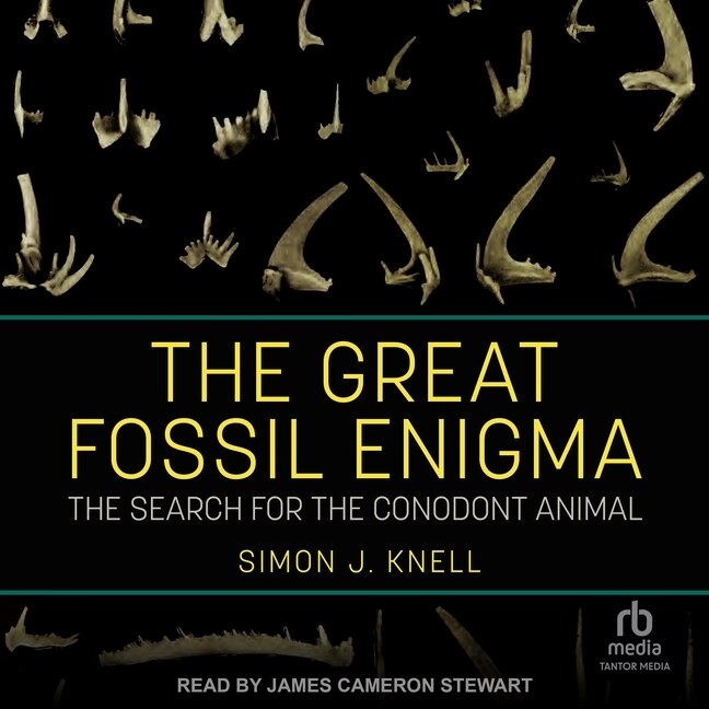Couverture_The Great Fossil Enigma