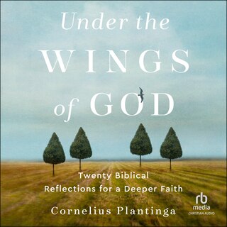 Front cover_Under the Wings of God