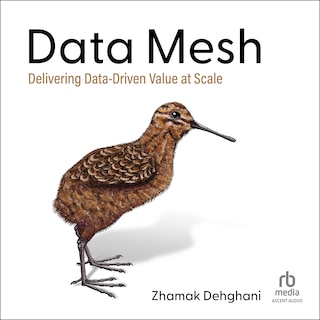 Front cover_Data Mesh