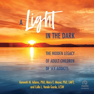 Front cover_A Light in the Dark