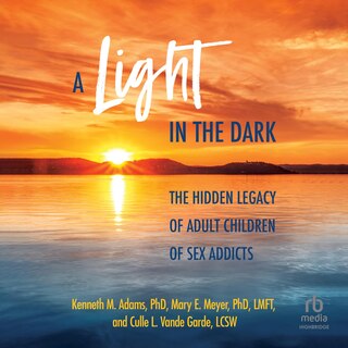 Front cover_A Light in the Dark