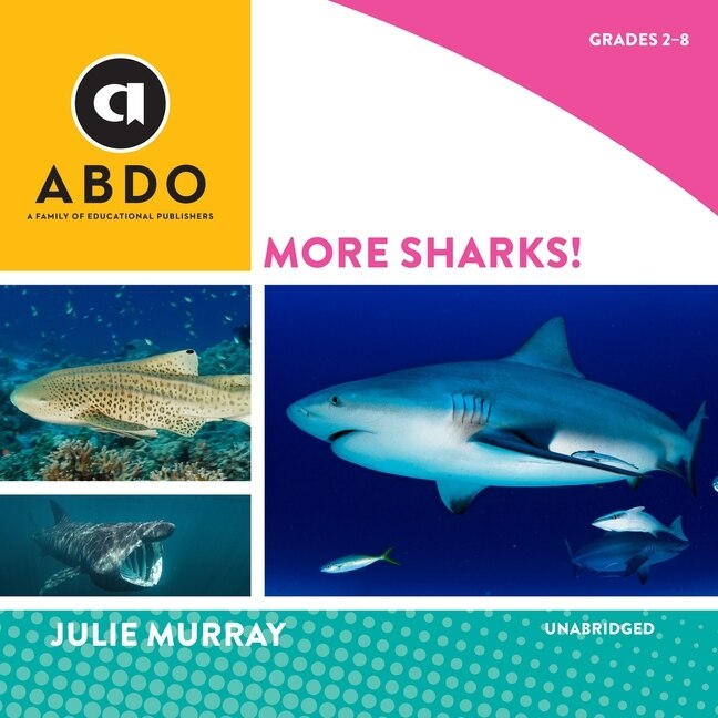 Front cover_More Sharks!