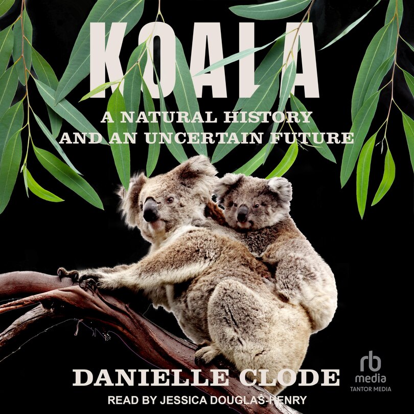 Front cover_Koala