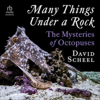 Couverture_Many Things Under a Rock