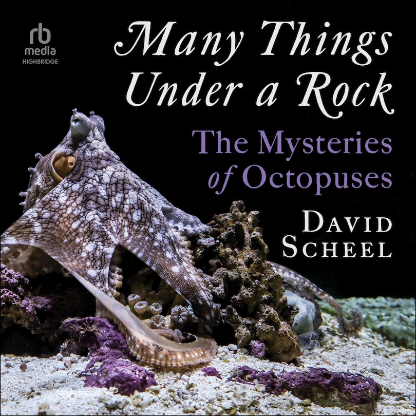 Couverture_Many Things Under a Rock