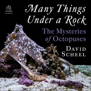 Front cover_Many Things Under a Rock