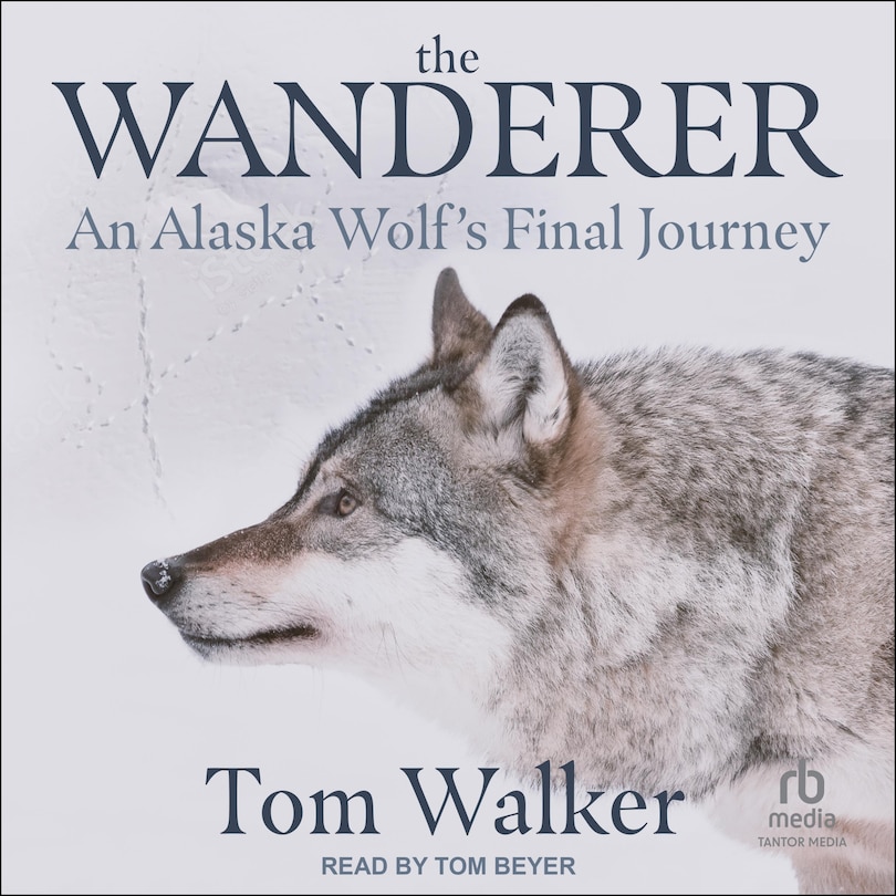 Couverture_The Wanderer