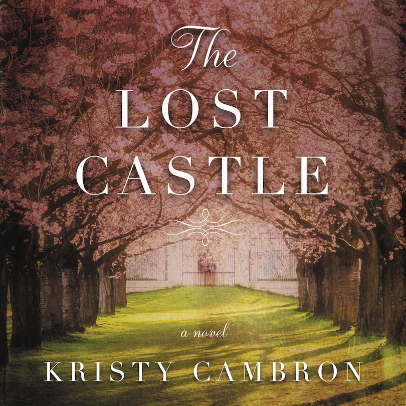 The Lost Castle: A Split-Time Romance