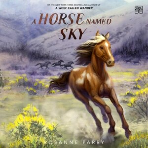 Front cover_A Horse Named Sky