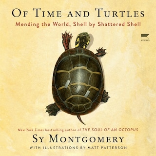 Couverture_Of Time and Turtles