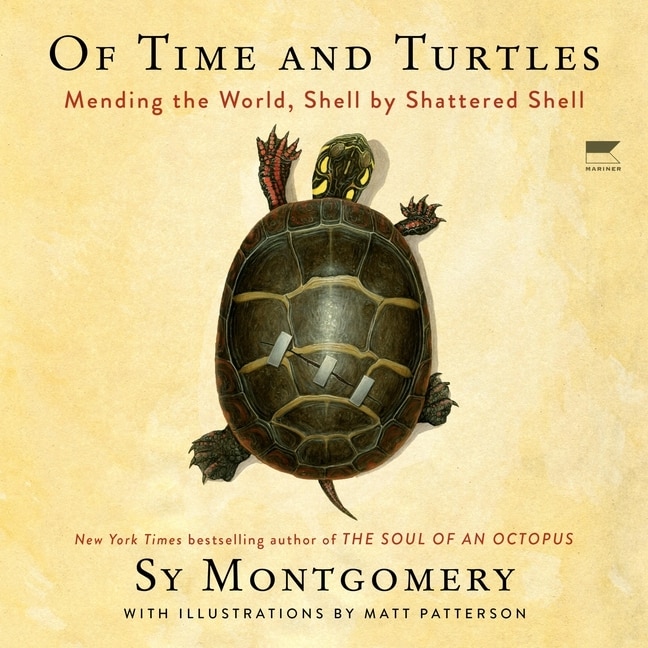 Couverture_Of Time and Turtles