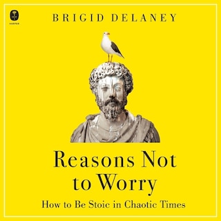 Couverture_Reasons Not to Worry