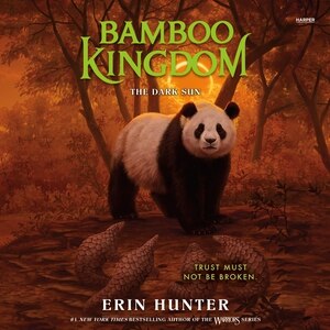 Front cover_Bamboo Kingdom #4: The Dark Sun