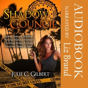 Couverture_Shadow Council Books 1–4