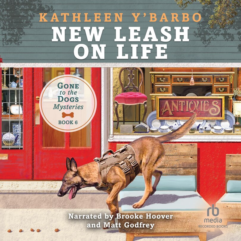 Couverture_New Leash On Life