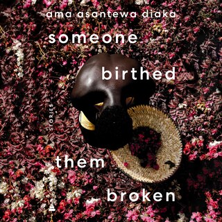 Front cover_someone birthed them broken