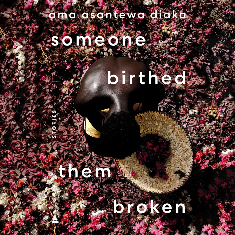 Front cover_someone birthed them broken