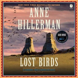 Couverture_Lost Birds