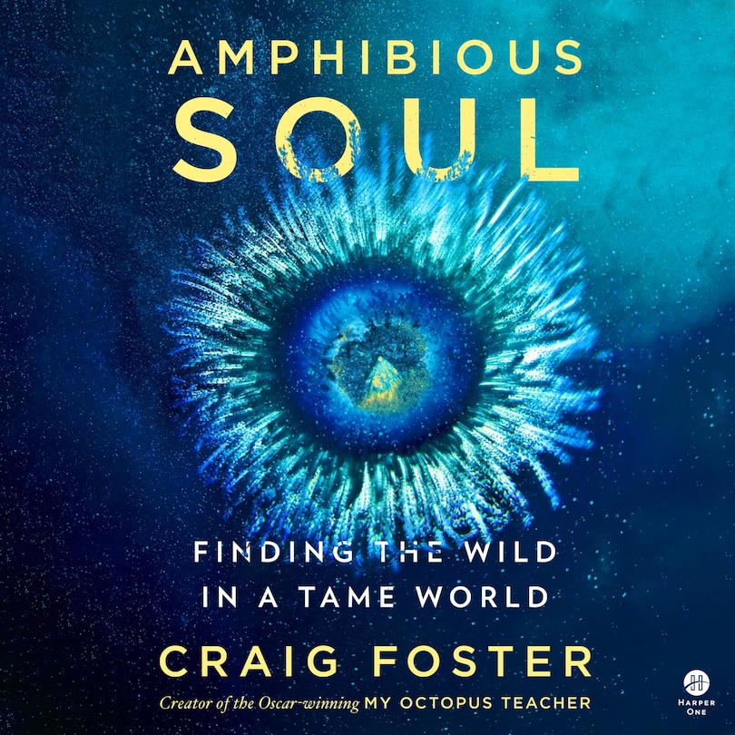 Couverture_Amphibious Soul