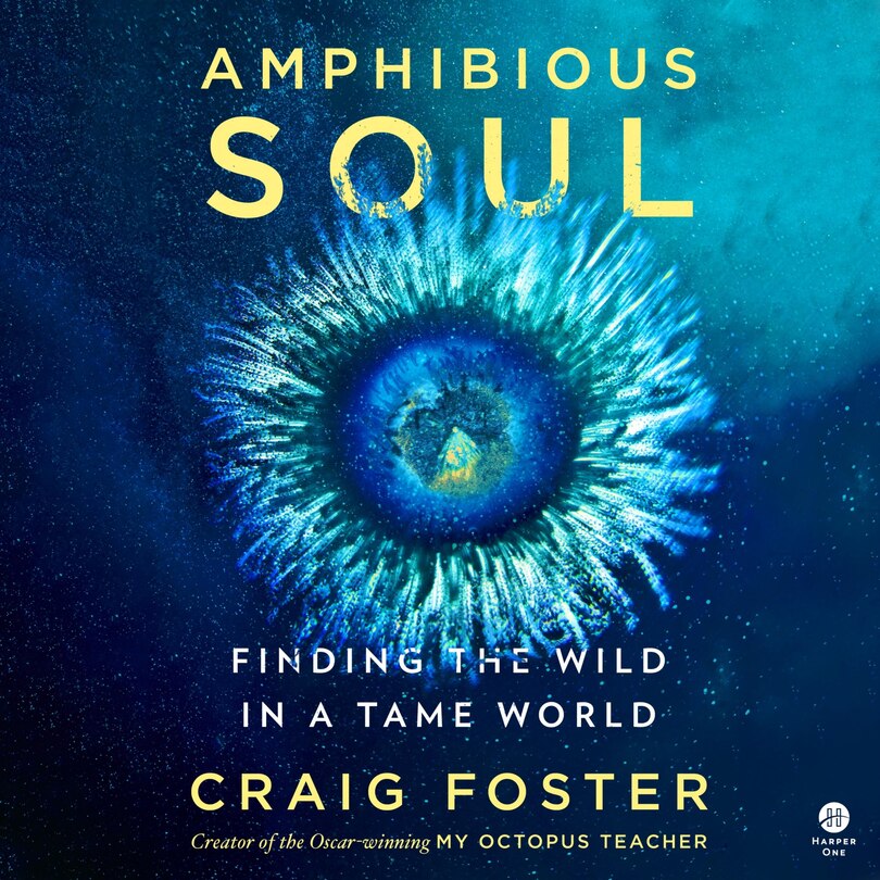 Front cover_Amphibious Soul