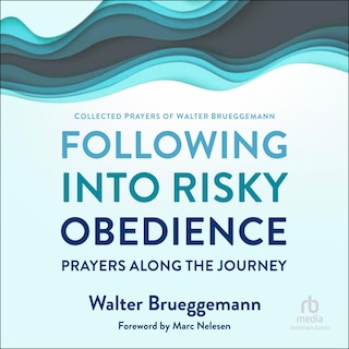 Couverture_Following into Risky Obedience