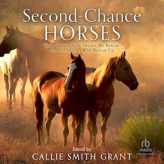 Front cover_Second-Chance Horses