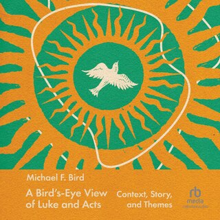 Couverture_A Bird's-Eye View of Luke and Acts