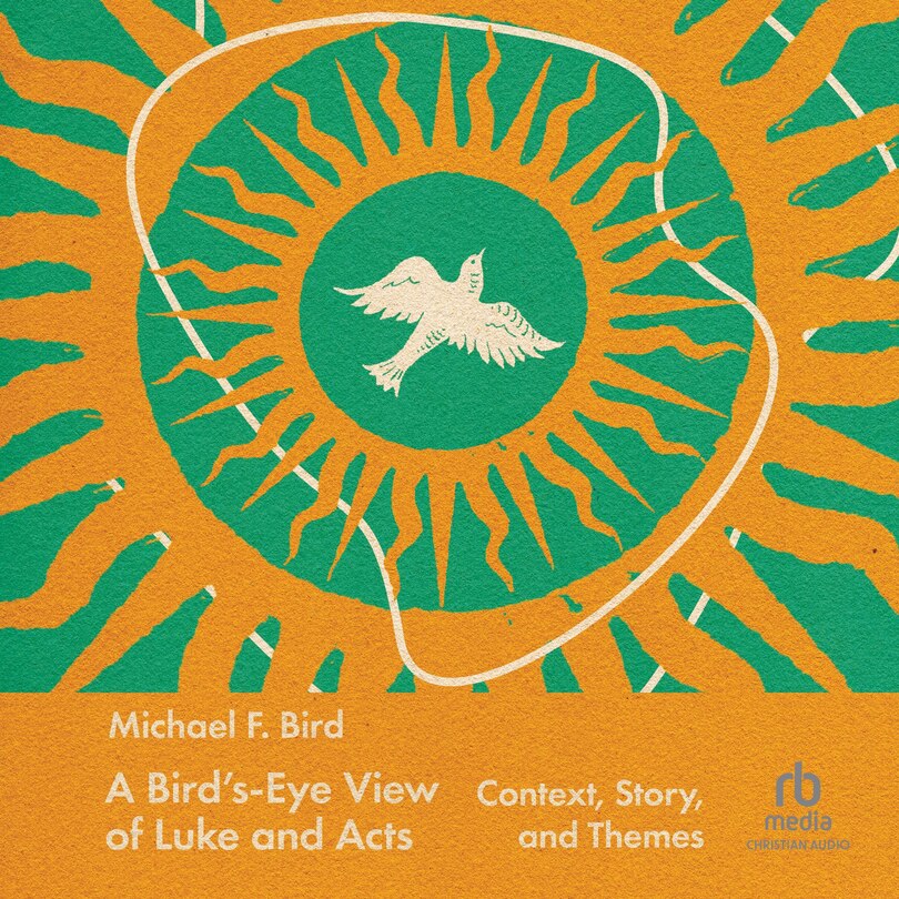Couverture_A Bird's-Eye View of Luke and Acts
