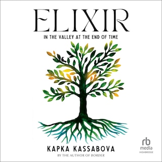 Couverture_Elixir