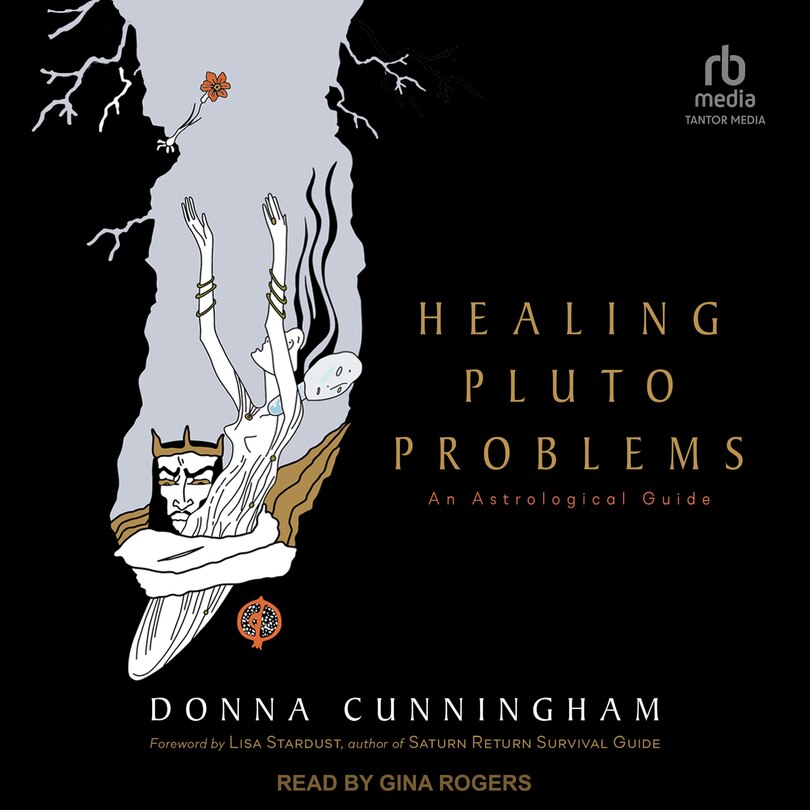 Front cover_Healing Pluto Problems