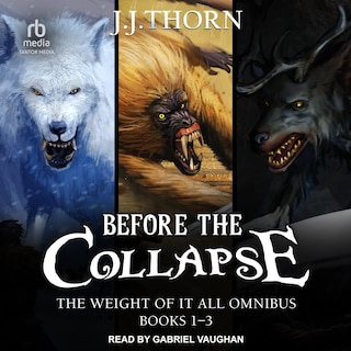 Couverture_Before The Collapse
