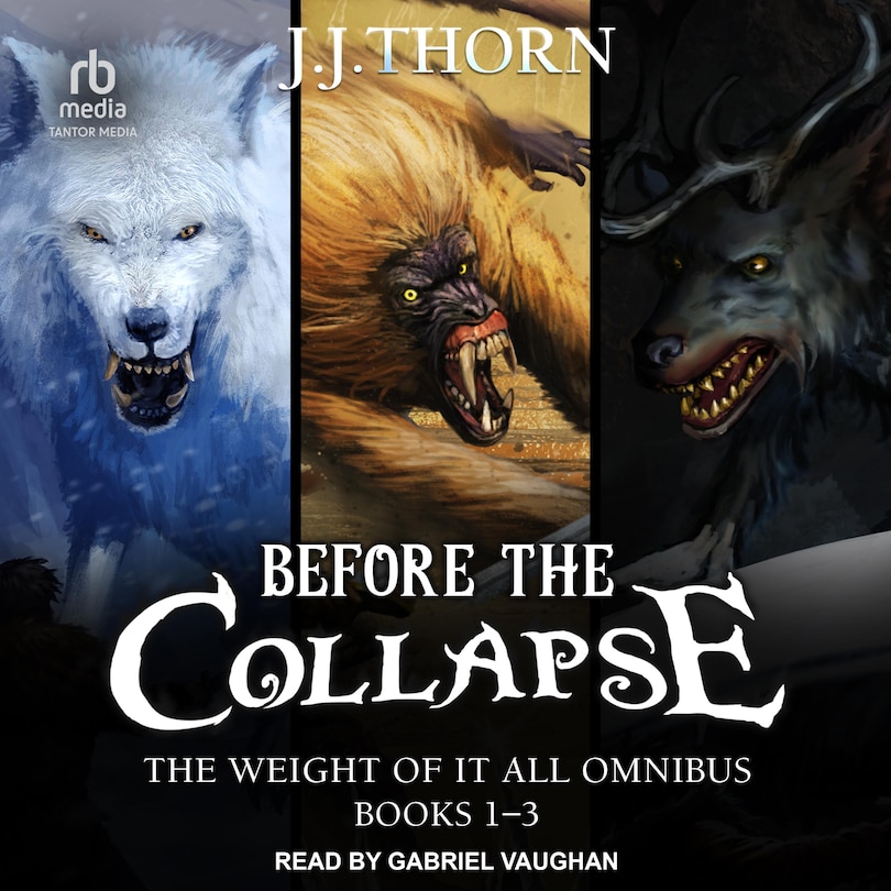 Couverture_Before The Collapse