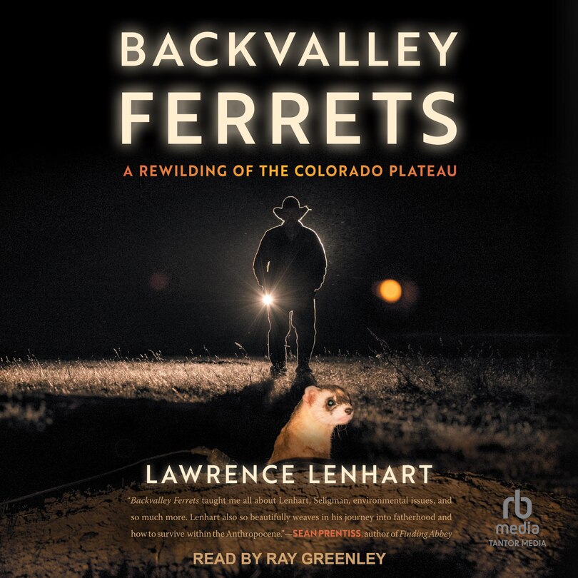 Front cover_Backvalley Ferrets