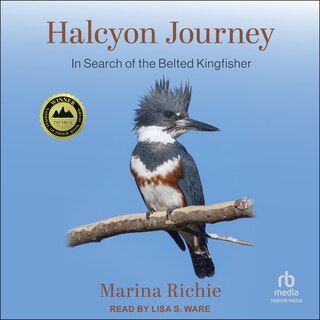 Couverture_Halcyon Journey