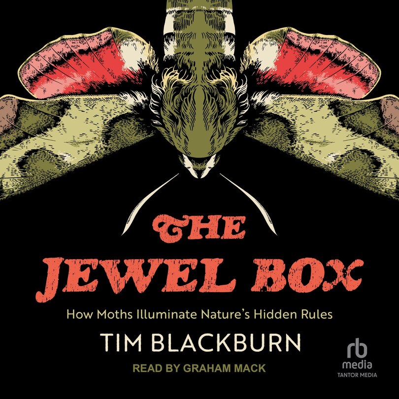 Couverture_The Jewel Box
