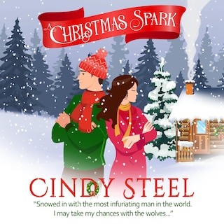 Couverture_A Christmas Spark