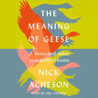 Front cover_The Meaning of Geese