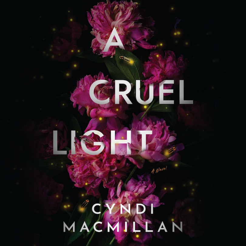 Couverture_A Cruel Light