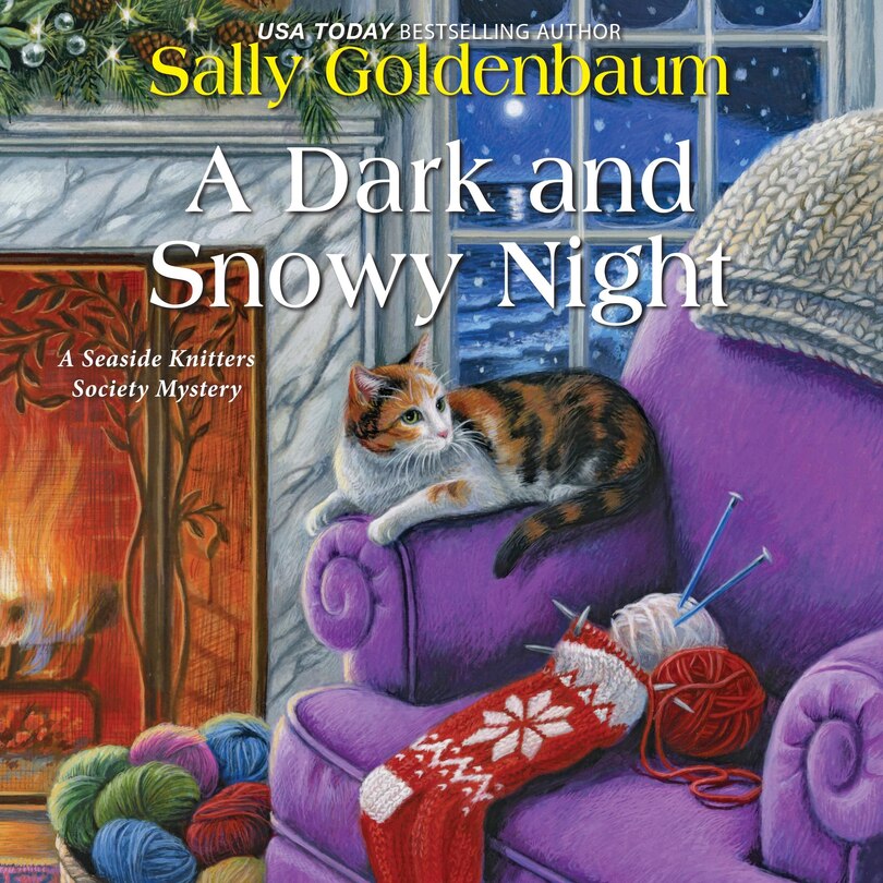 Front cover_A Dark and Snowy Night