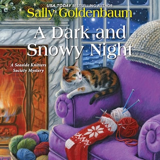 Front cover_A Dark and Snowy Night