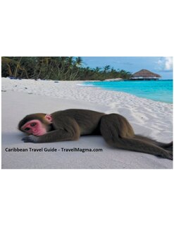 Front cover_Caribbean Travel Guide - Explore the Caribbean Islands