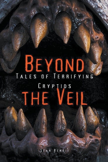 Front cover_Beyond the Veil