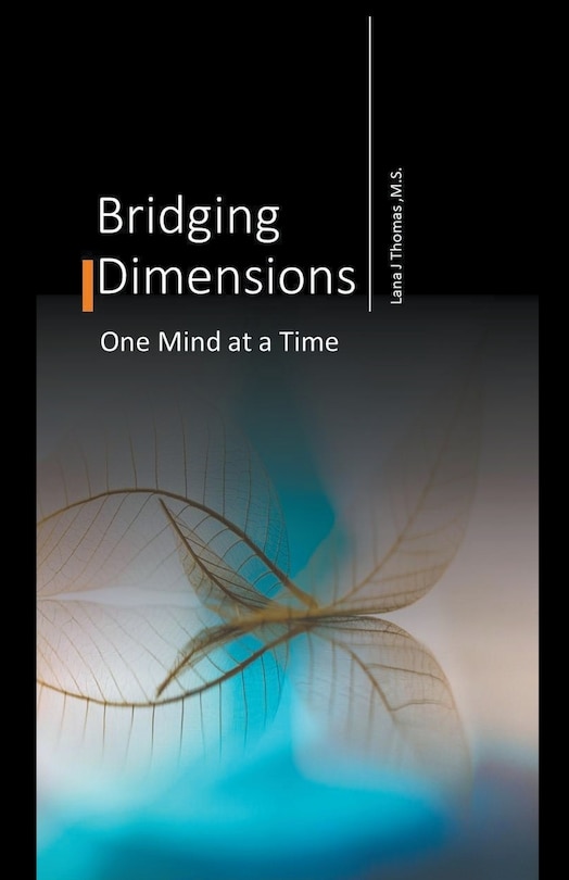 Front cover_Bridging Dimensions One Mind at a Time