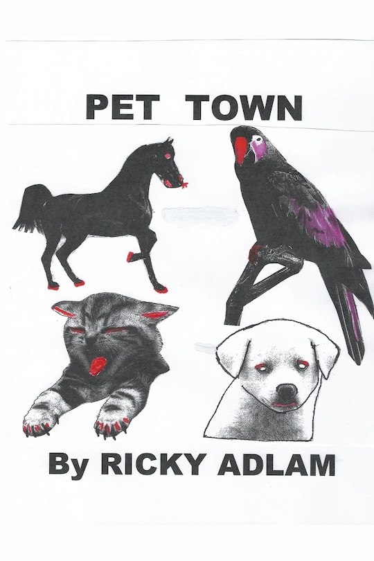 Front cover_Pet Town
