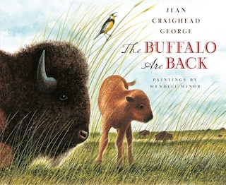 Couverture_The Buffalo Are Back