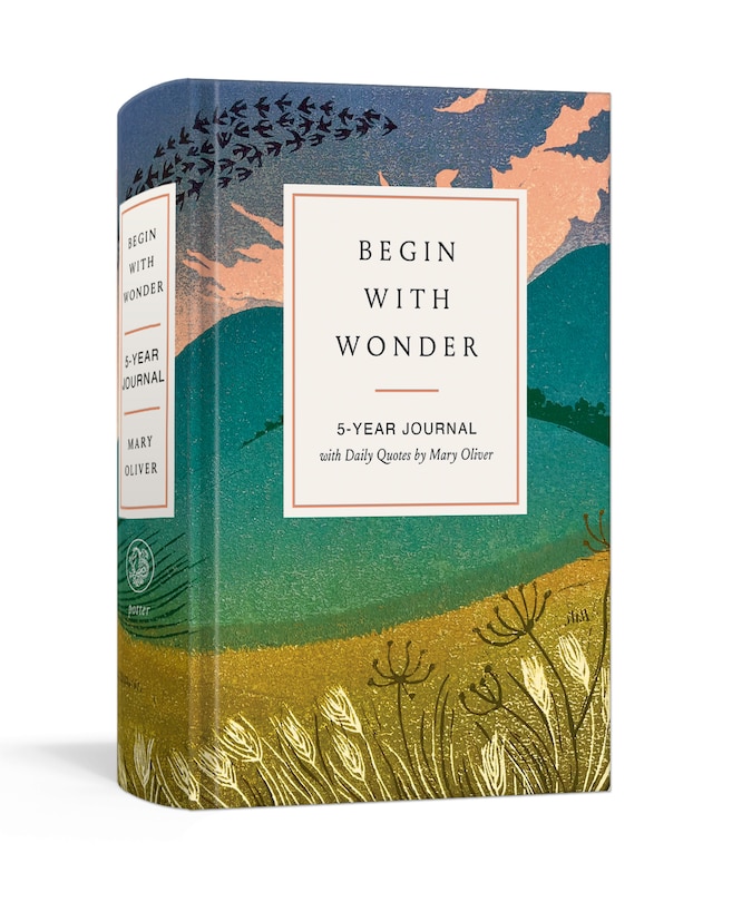 Couverture_Begin with Wonder