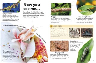 Sample content_Eyewonder Bugs