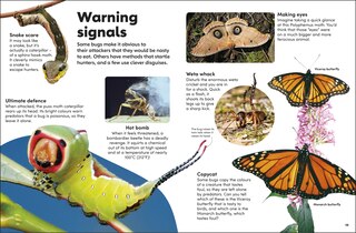 Sample content 2_Eyewonder Bugs