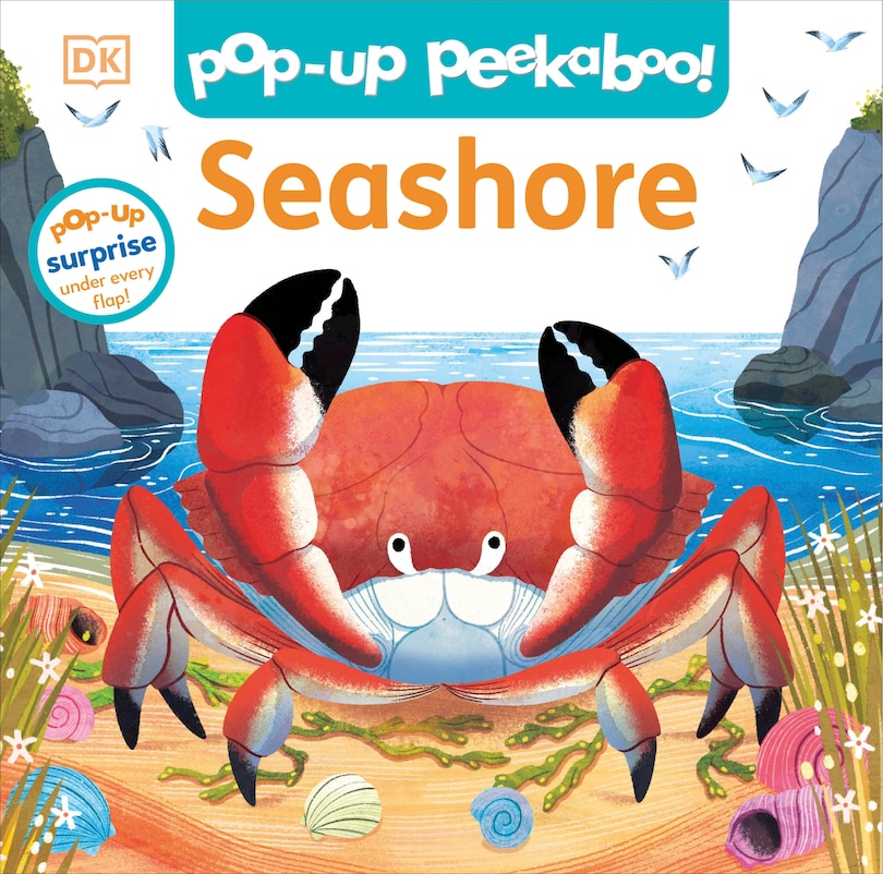 Couverture_Pop-Up Peekaboo! Seashore