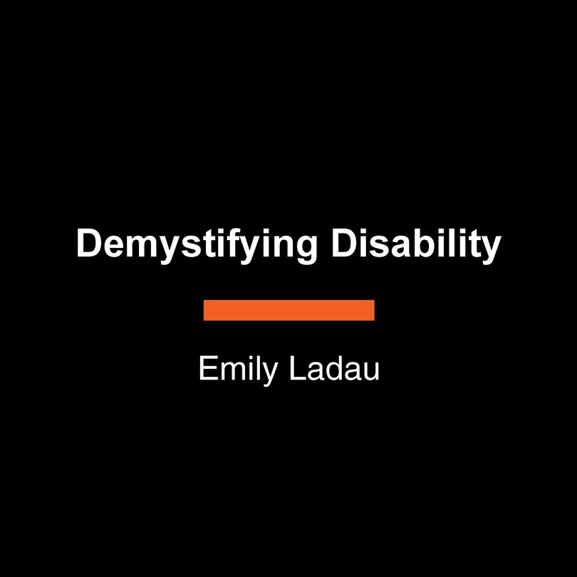 Couverture_Demystifying Disability